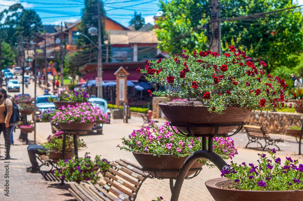 Tô de férias - Monte Verde